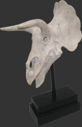 Triceratops Skull on base (JR 080046RS)