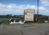 COWS AT THE ENTRANCE 