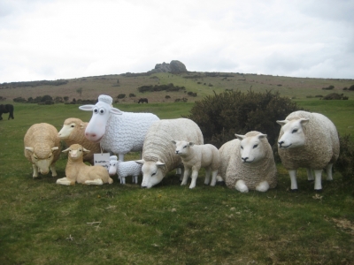 OUR SHEEP FAMILY