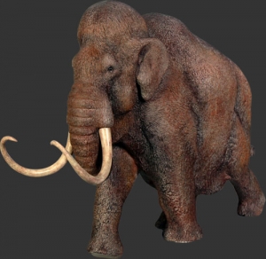 Mammoth (JR 110014)