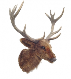 Reindeer Head Furry (JR 2097)