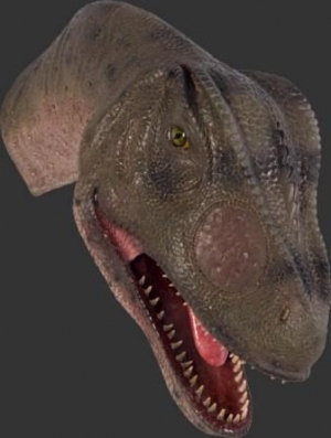 Allosaurus Head Looking Straight (JR 100052)