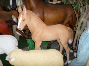 Foal  (JR 3130)