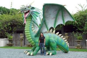 Dragon 4 metres (JR DY022)