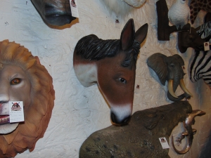 Donkey Head (JR 2535)
