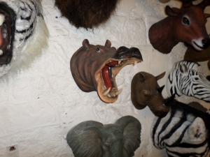 Hippo Head (JR DD88201A)