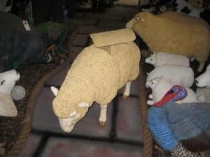 Merino Sheep Head Up Esky (JR 080069esky)