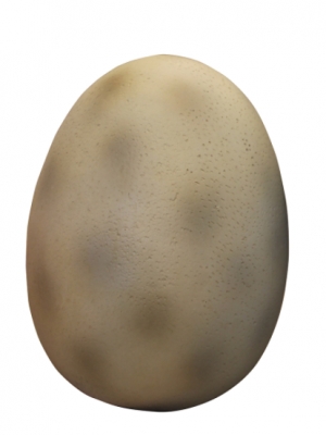 Dino Egg - Small (JR R-045)
