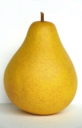 Pear 2ft (JR IM)	