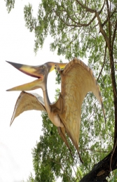 Pteranodon - Giant (JR 120010kd) - Thumbnail 01