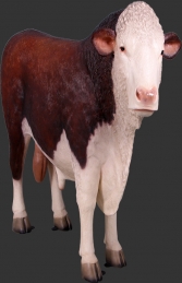 Hereford Bull (JR 160034)  - Thumbnail 01