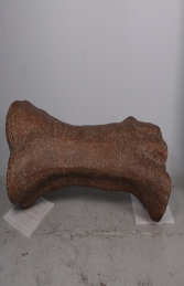 Bone - Titanosaur (JR 180007)