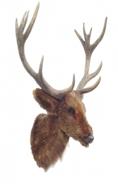 Reindeer Head Furry (JR 2097) - Thumbnail 01