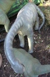 Camarasaurus 3ft high (JR 2414) - Thumbnail 02