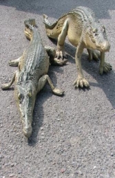 Crocodile Walking 4ft long (JR 080112) - Thumbnail 03