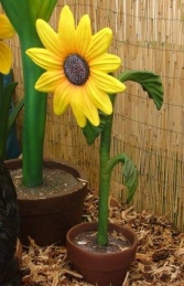 Sunflower 3ft (JR 2203)    - Thumbnail 01