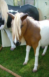 Shetland Pony (JR 2485) - Thumbnail 02