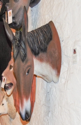 Donkey Head (JR 2535) - Thumbnail 03