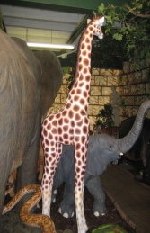 Giraffe Baby 8ft (JR 080131) - Thumbnail 03