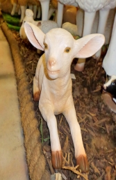 Goat - Kid Lying (JR 3369) - Thumbnail 02