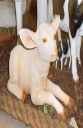 Goat - Kid Lying (JR 3369) - Thumbnail 03