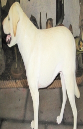 Labrador standing - Yellow (JR 2950) - Thumbnail 01