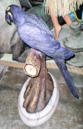 Hyacinth Macaw (JR HM-1000) - Thumbnail 03