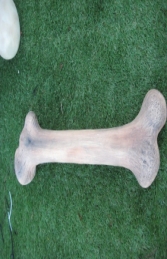 Bone - Large (JR R-044)