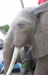 Elephant - African (JR 100059) - Thumbnail 03