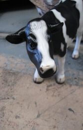 Mini Cow - Friesian (JR 090056)	 - Thumbnail 02