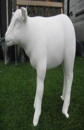 Texelaar Lamb - Smooth (JR 100024s)   