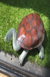Long Neck Turtle (JR 100114) - Thumbnail 03
