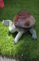 Long Neck Turtle (JR 100114) - Thumbnail 01