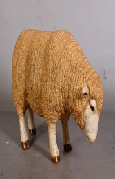 Merino Sheep head down - Small (JR 110125)