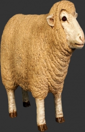 Merino Sheep head up - Small (JR 110126)