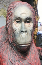 Orangutan Sitting (JR 2918) - Thumbnail 02