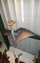 Pteranodon - 10ft (JR 140025) - Thumbnail 02