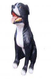 Staffordshire Bull Terrier - Black (JR 170075) - Thumbnail 01