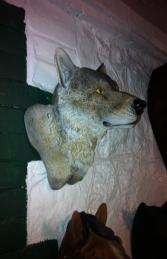 Wolf Head (JR DD88133A)