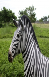 Zebra (JR 110075)	 - Thumbnail 02