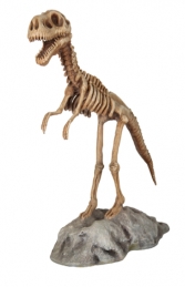 Dino Skeleton with base (JR R-047)