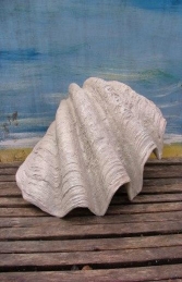Sea Shell Small (JR 1783)