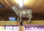 CARRUAN FARM - MEAT SECTION COW