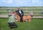 DUNCAN WITH LYING DOWN COW 