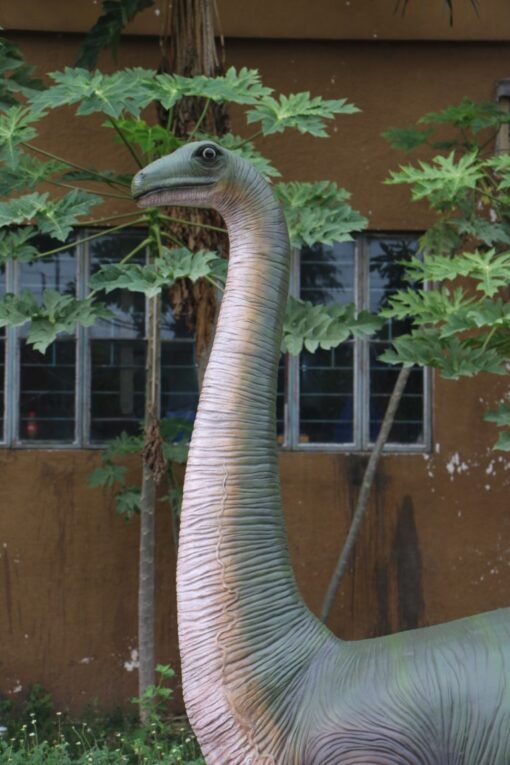 BRONTOSAURUS JR 080130 - Image 6