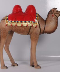 NAIVITY CAMEL JR 180183