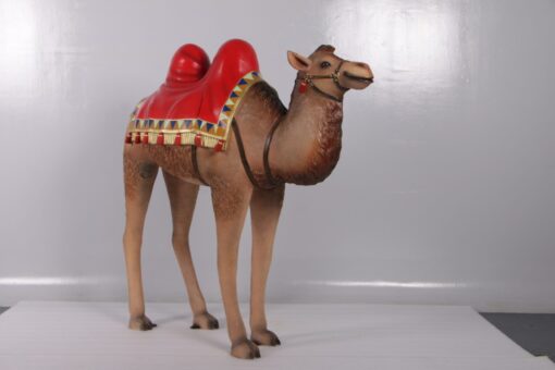 NAIVITY CAMEL JR 180183 - Image 3