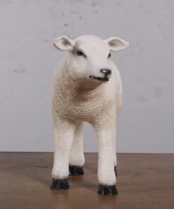 TEXELAAR LAMB JR 190004