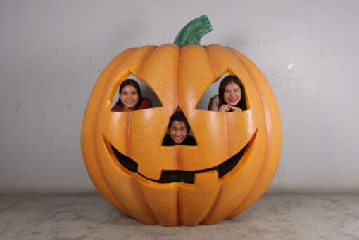 PUMPKIN PHOTO OP JR 190075 - Image 2