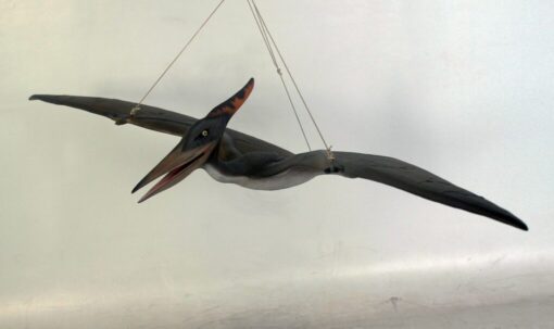 BABY PTERANODON FLYING JR 110062